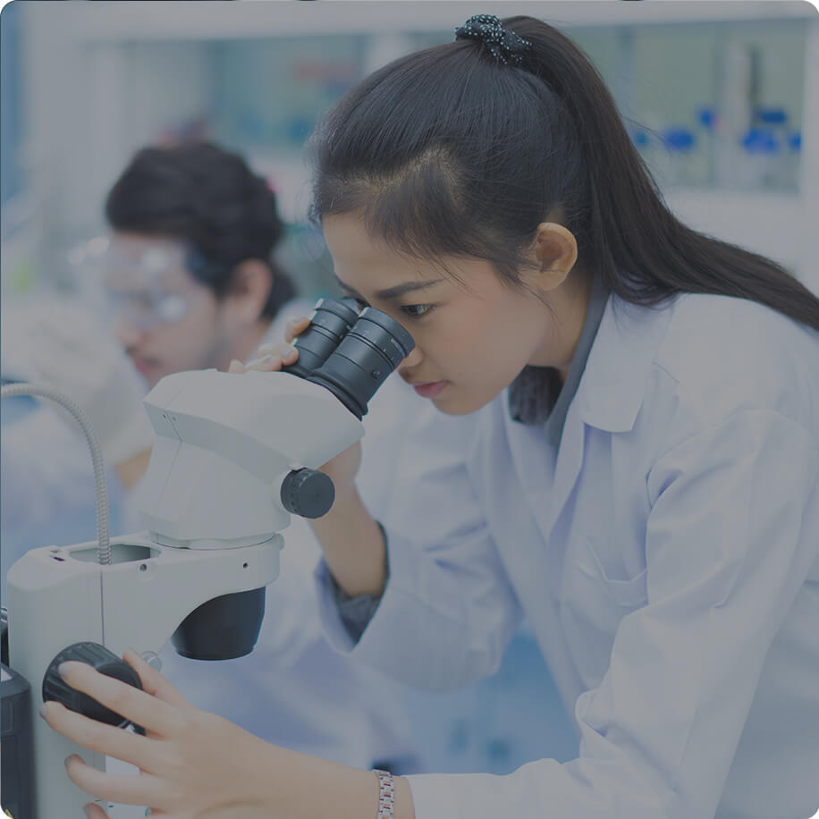 Browse all Job Vacancies Image