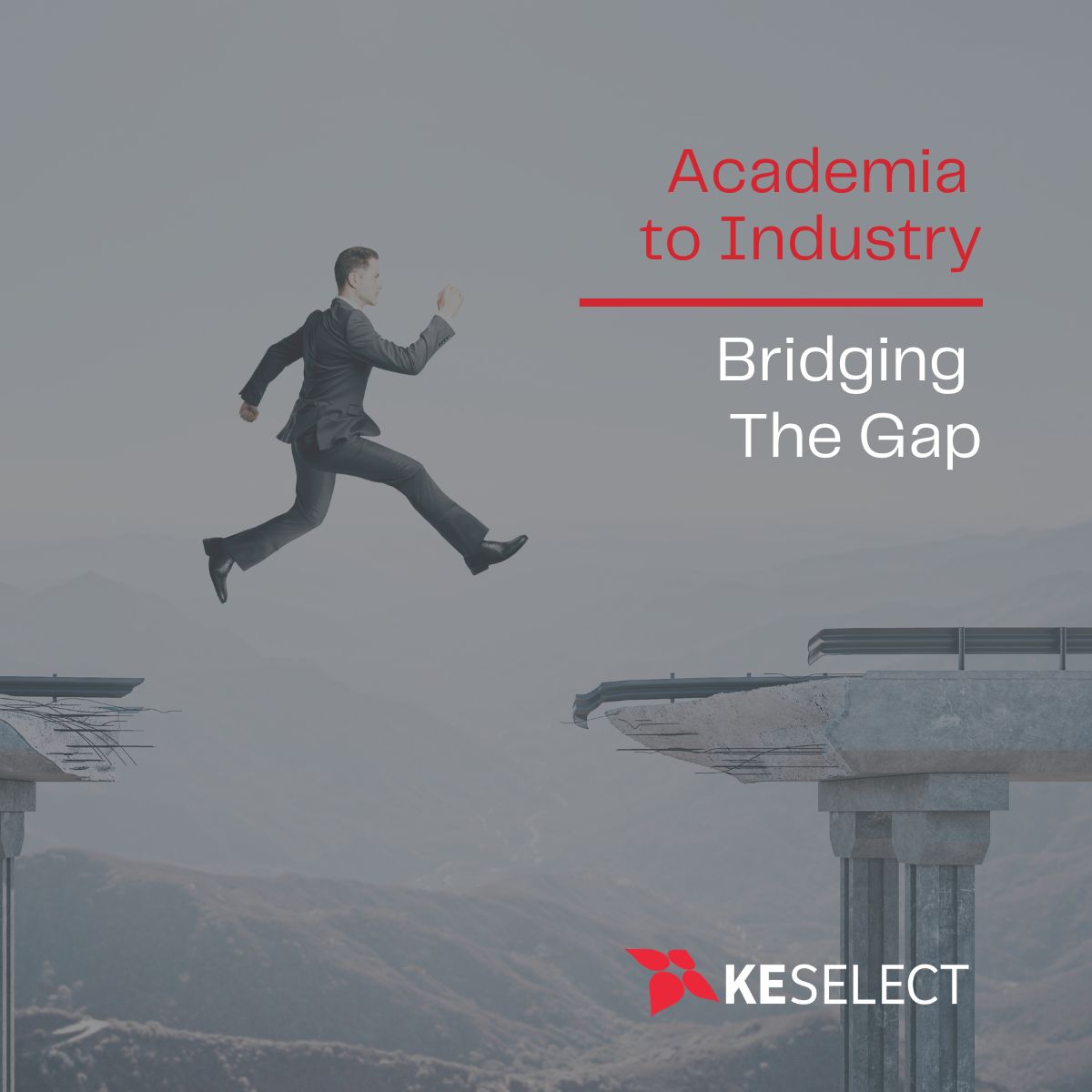 Academia to Industry - Bridging the Gap Image
